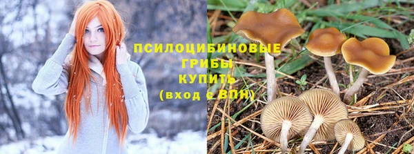 кокаин Белокуриха