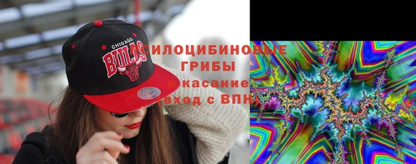 MESCALINE Няндома