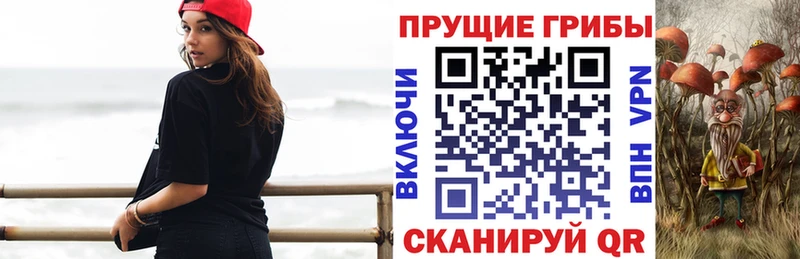 купить наркотики цена  Благодарный  Псилоцибиновые грибы Psilocybine cubensis 